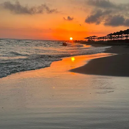 Calm & Retreat *